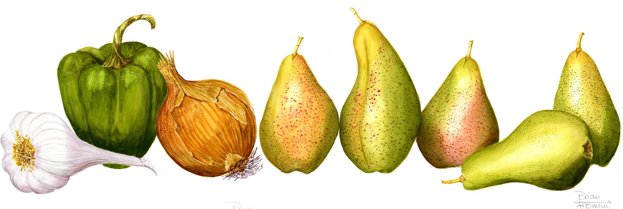 Botanical painting discount