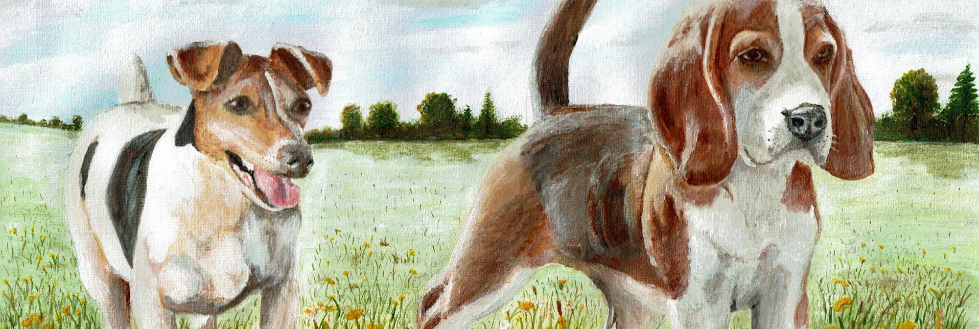 Pet Portraits Online Art Course London Art College