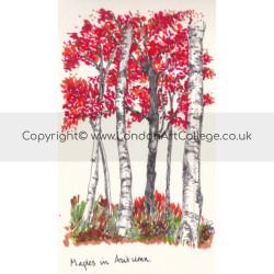 Student pen drawing of a Maple Trees from London Art College's Drawing with Pens Course